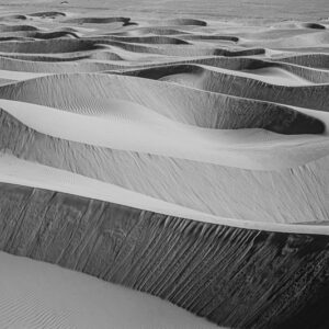 Laura Comune Compagnoni_01_Omaggio a Edward Weston (Copy)